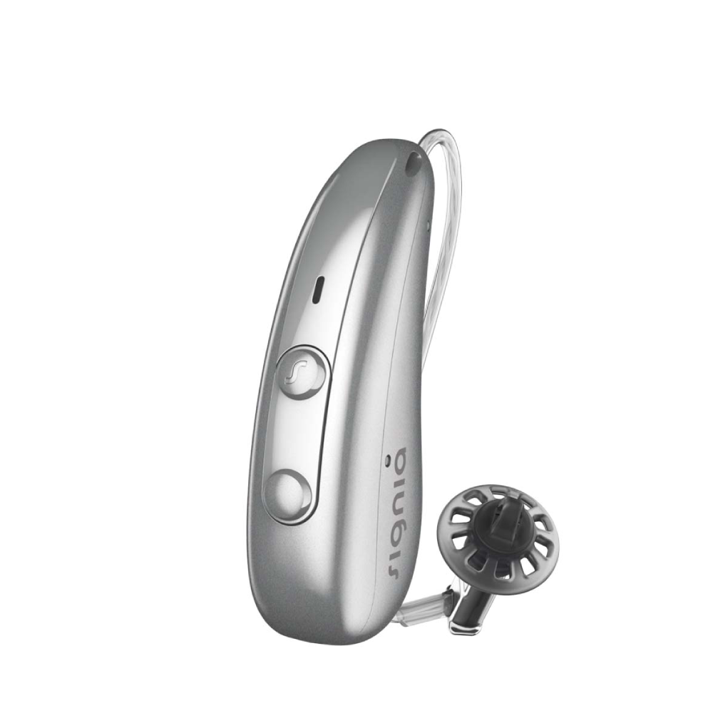 Pure Charge&Go 5IX Plata Audífonos